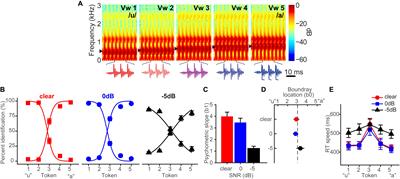 Autonomic Nervous System Correlates of Speech Categorization Revealed Through Pupillometry